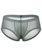 Microfiber Mesh Briefs