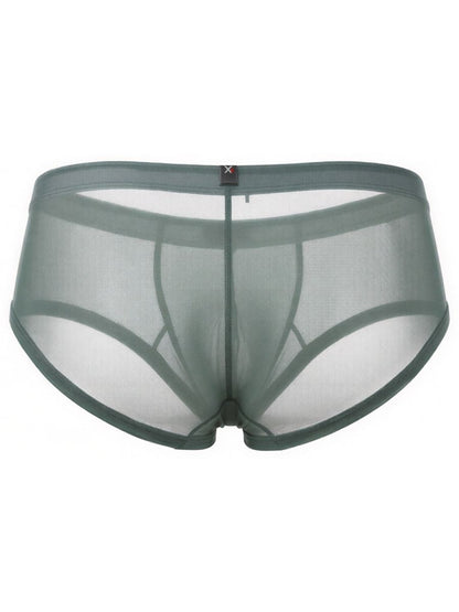 Microfiber Mesh Briefs