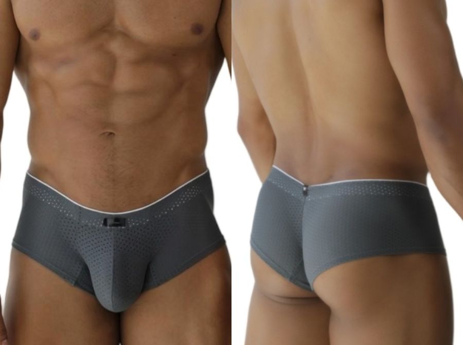 Microfiber Mesh Briefs