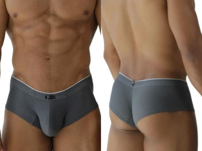 Microfiber Mesh Briefs
