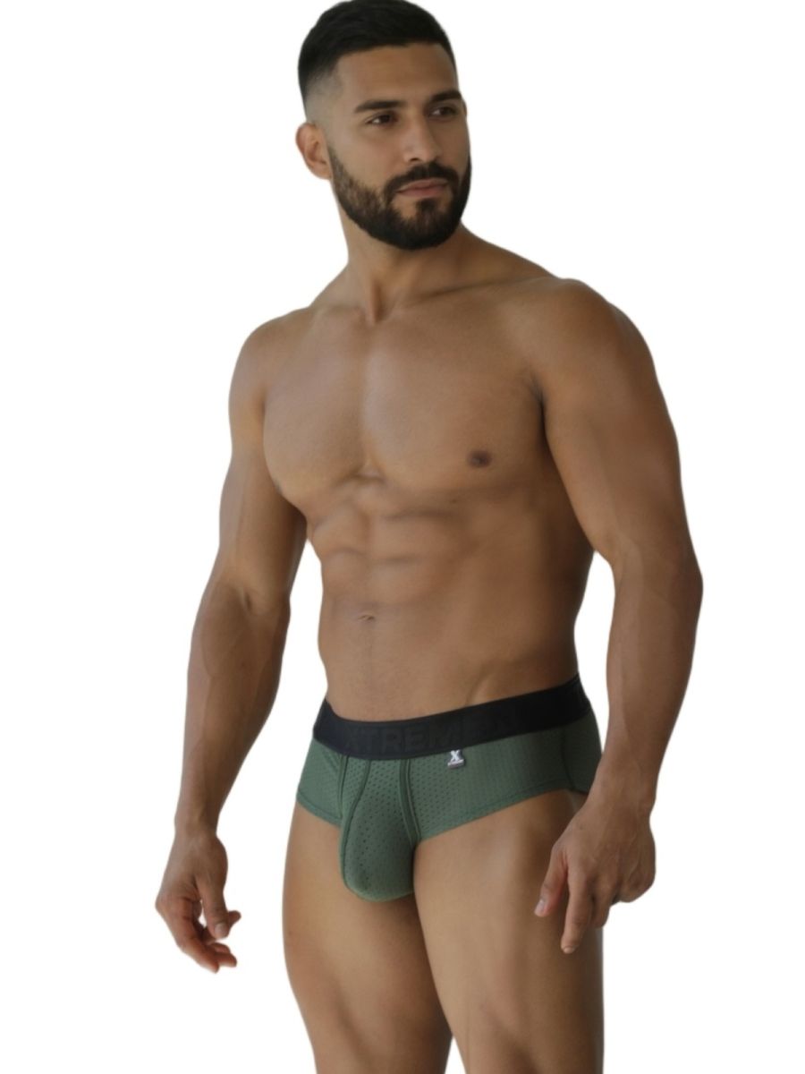 Microfiber Mesh Briefs