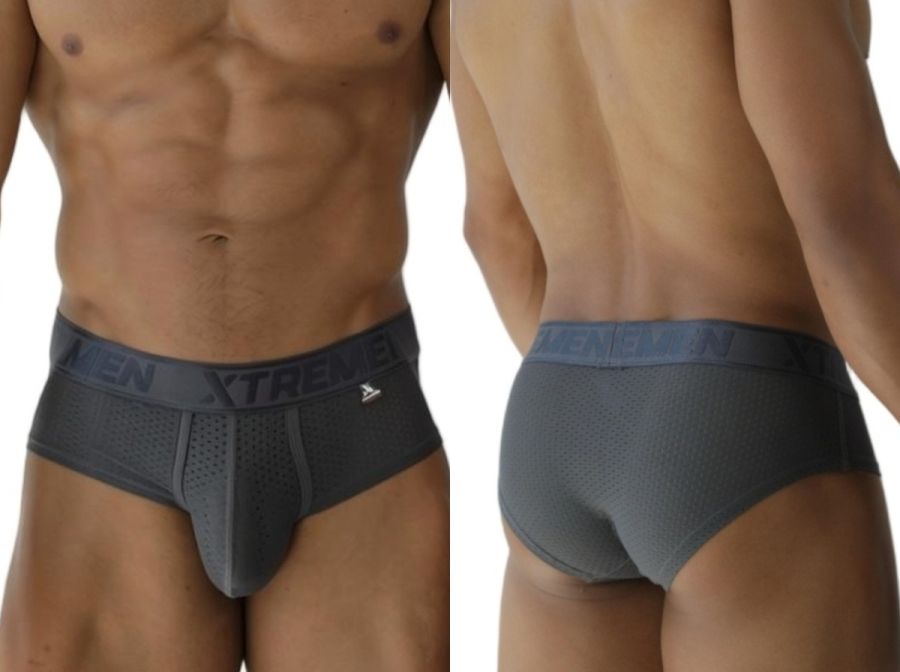 Microfiber Mesh Briefs