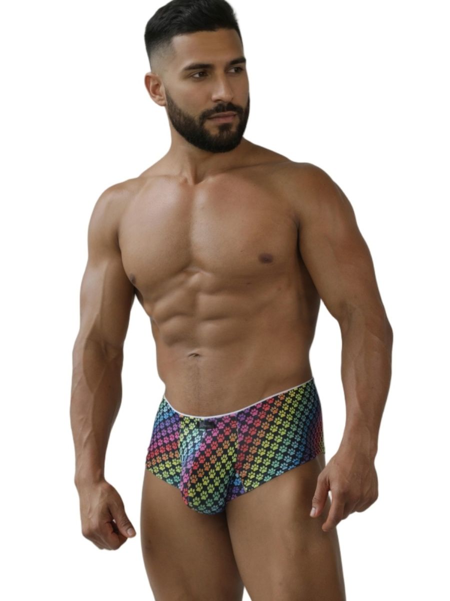 Rainbow Printed Microfiber Briefs