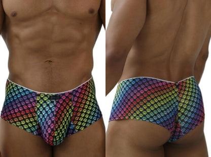 Rainbow Printed Microfiber Briefs