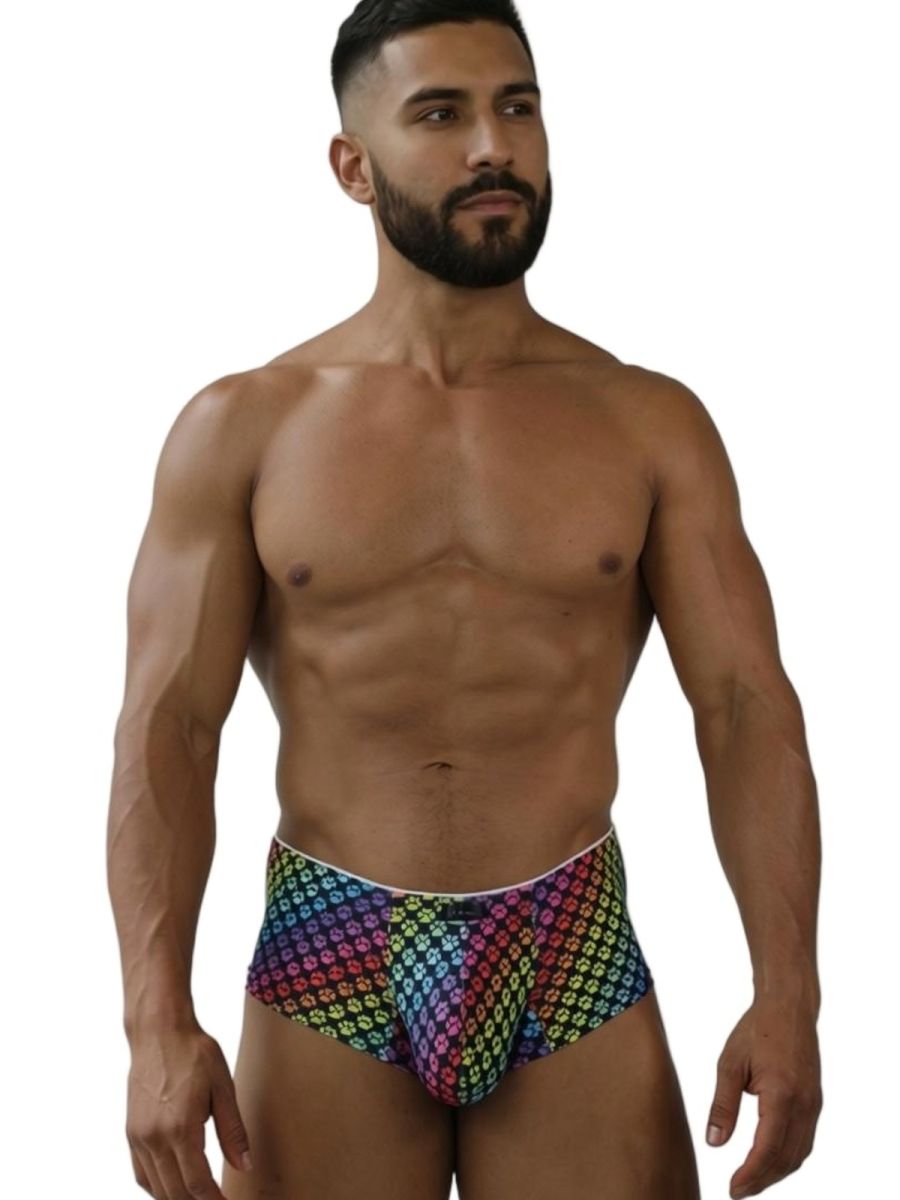Rainbow Printed Microfiber Briefs