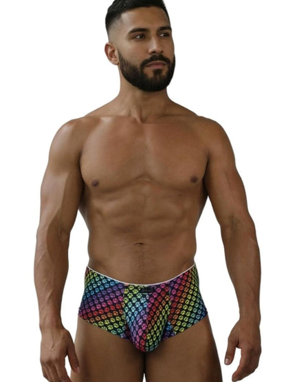 Rainbow Printed Microfiber Briefs