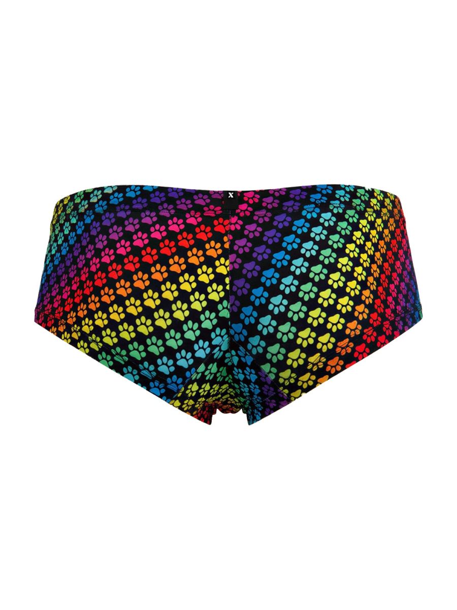 Rainbow Printed Microfiber Briefs