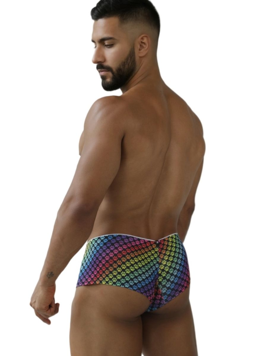 Rainbow Printed Microfiber Briefs