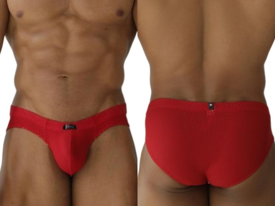 Microfiber Mesh Briefs