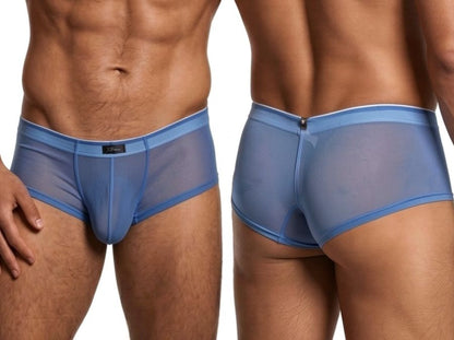 Microfiber Mesh Briefs
