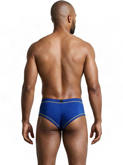 Microfiber Briefs