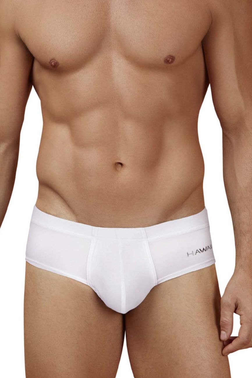 Microfiber Briefs