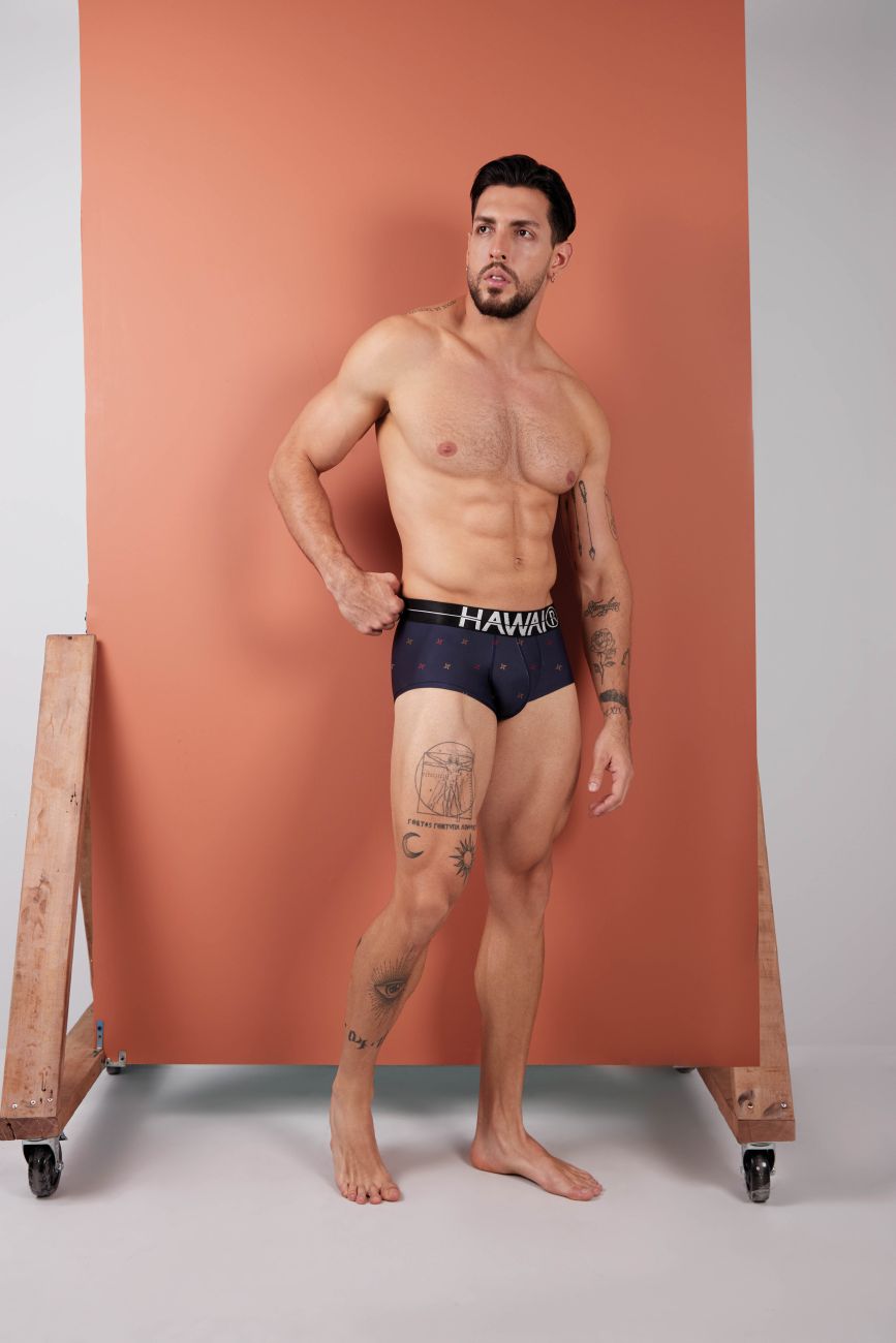 Printed Microfiber Briefs