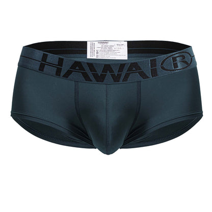 Microfiber Briefs