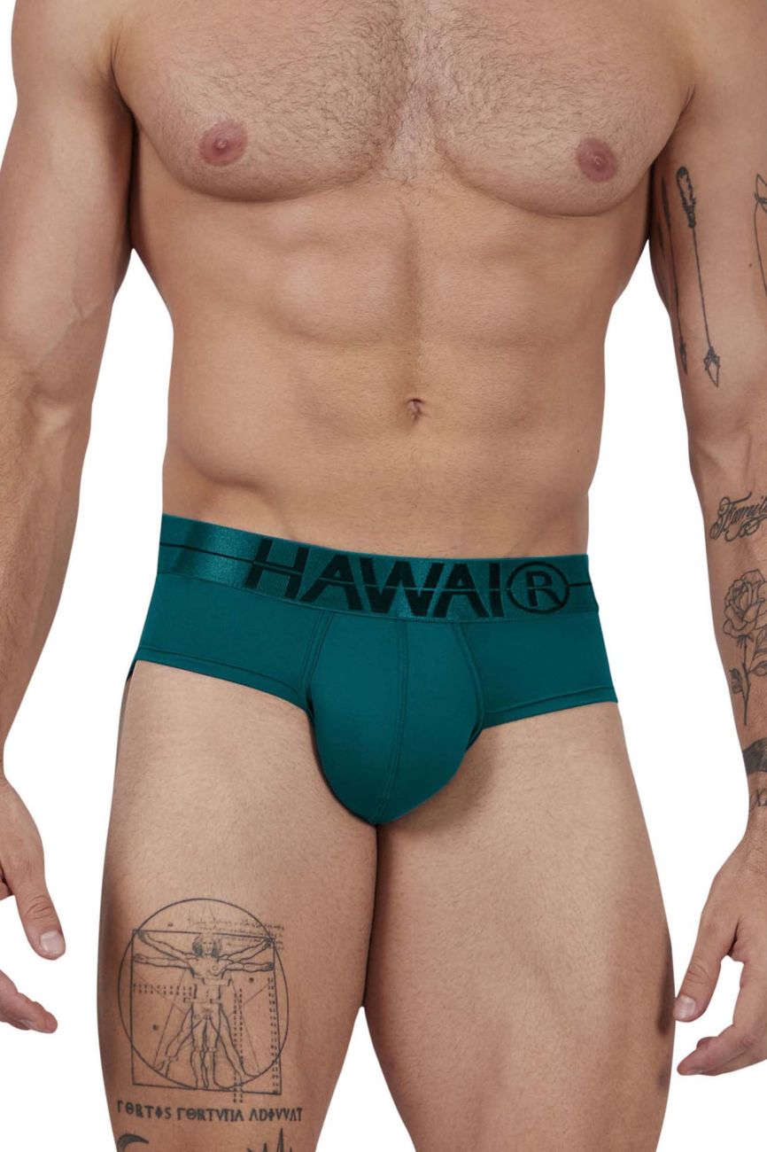 Microfiber Briefs