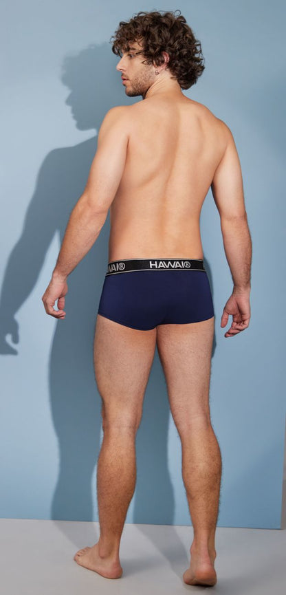 Microfiber Briefs