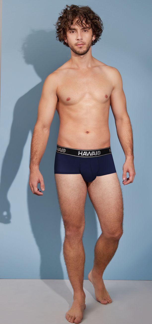 Microfiber Briefs