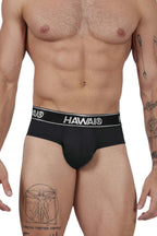 Microfiber Briefs