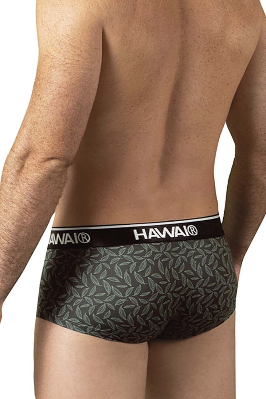 Printed Briefs