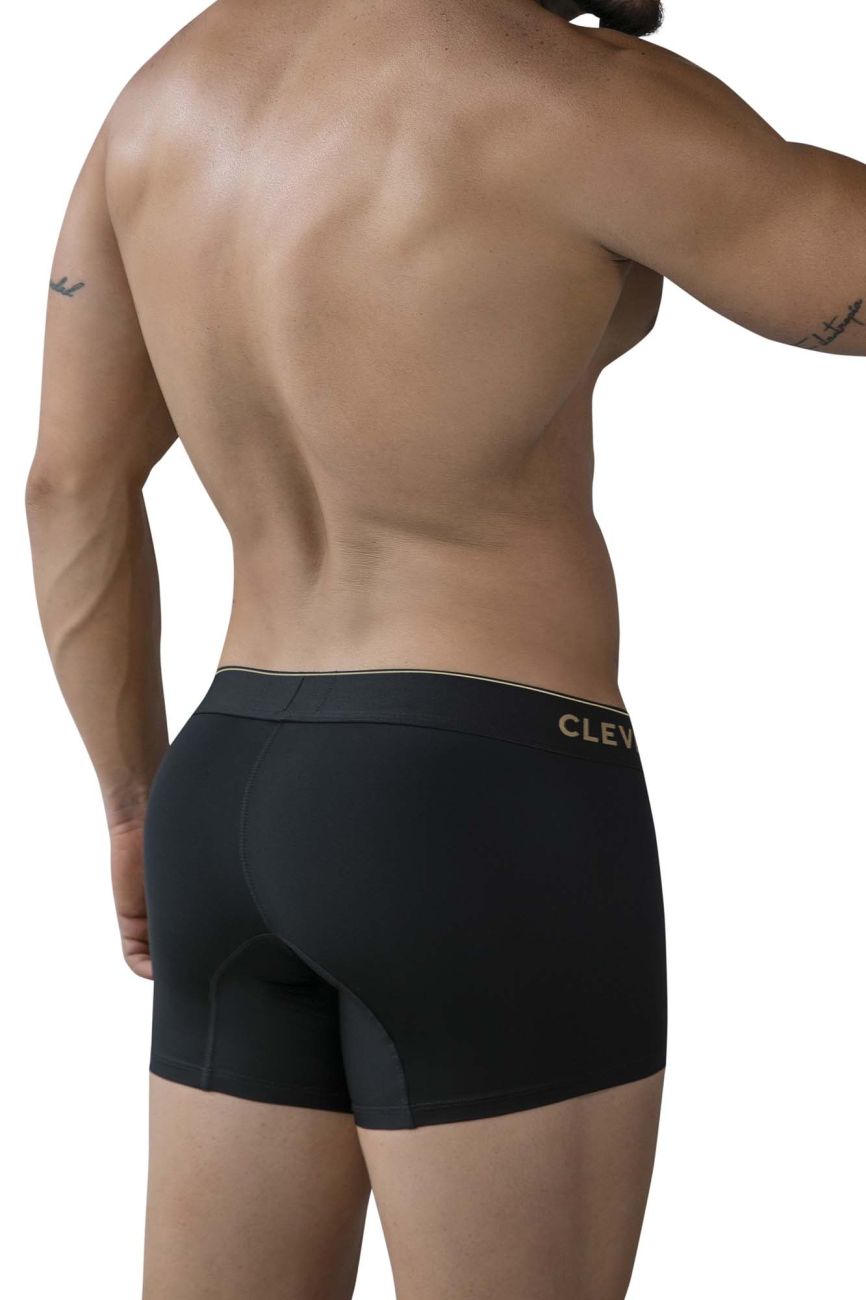 Valladolid Trunks