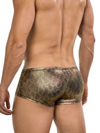 Atlas Trunks