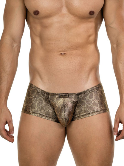 Atlas Trunks