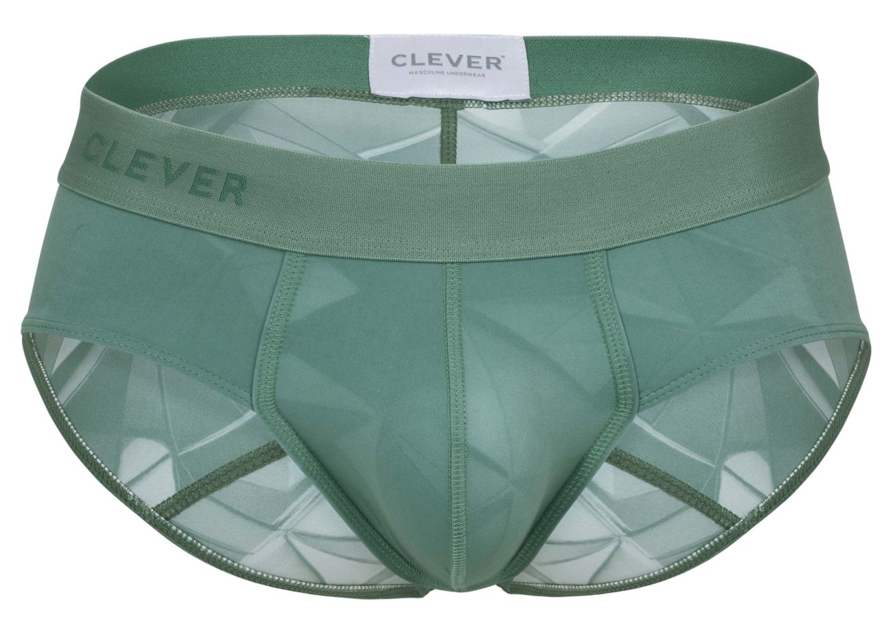 Venecia Briefs