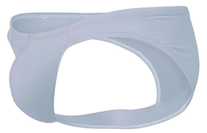Raices Briefs