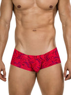 Helion Trunks