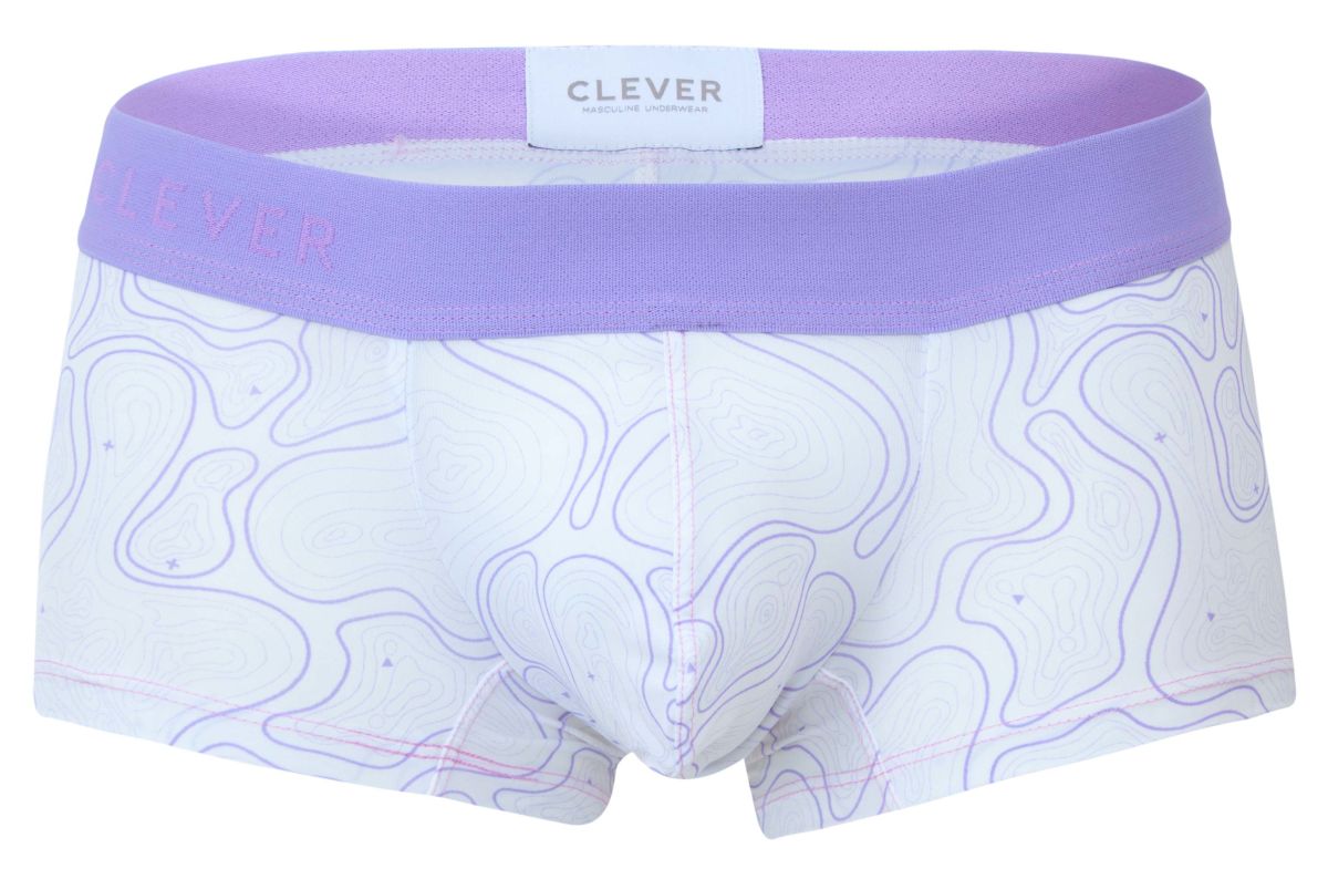 Maze Trunks