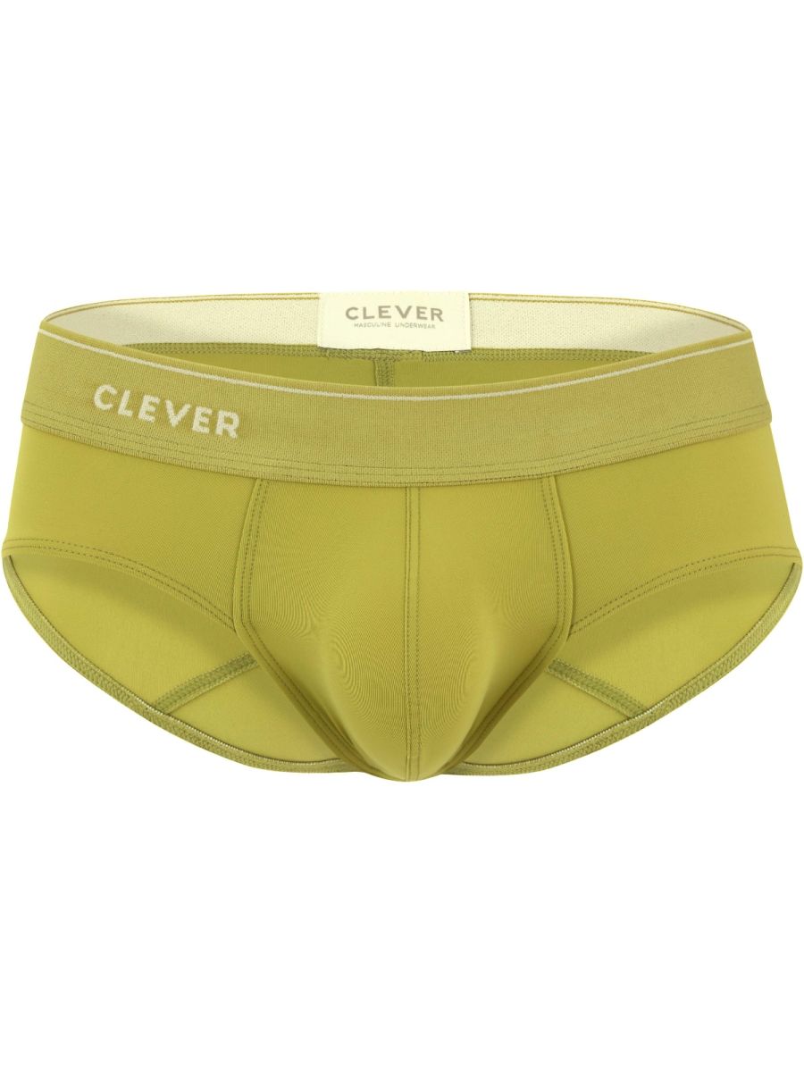 Atenea Briefs