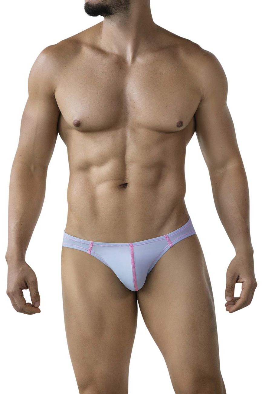 Raices Briefs