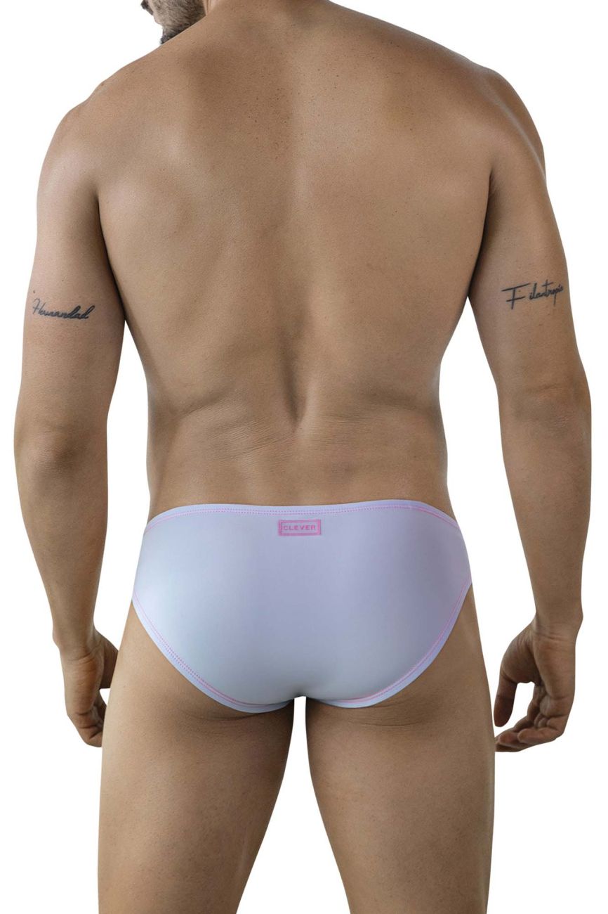 Raices Briefs