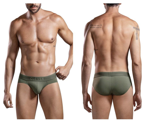 Britanica Briefs