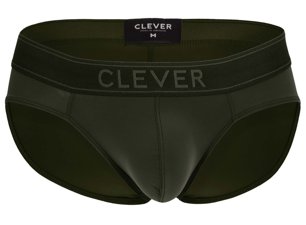 Britanica Briefs