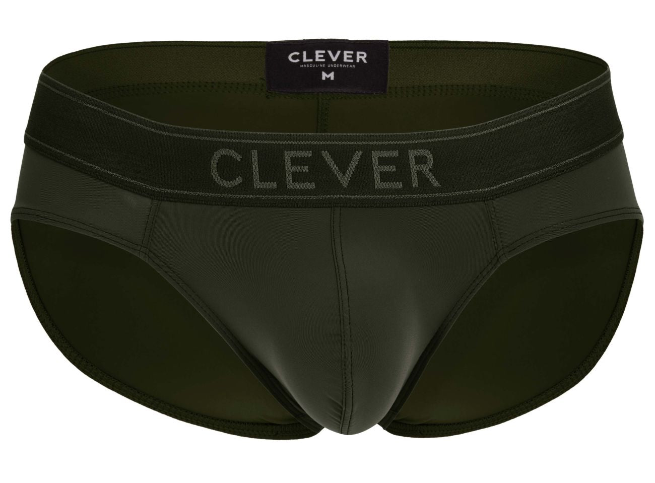 Britanica Briefs