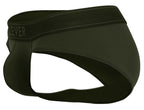 Britanica Briefs