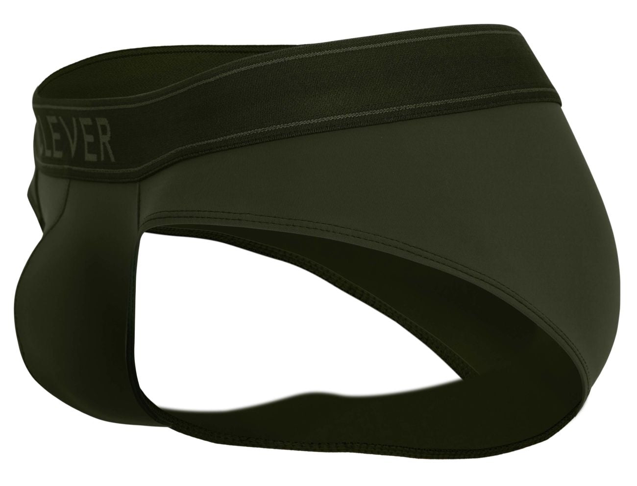 Britanica Briefs