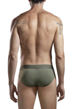 Britanica Briefs