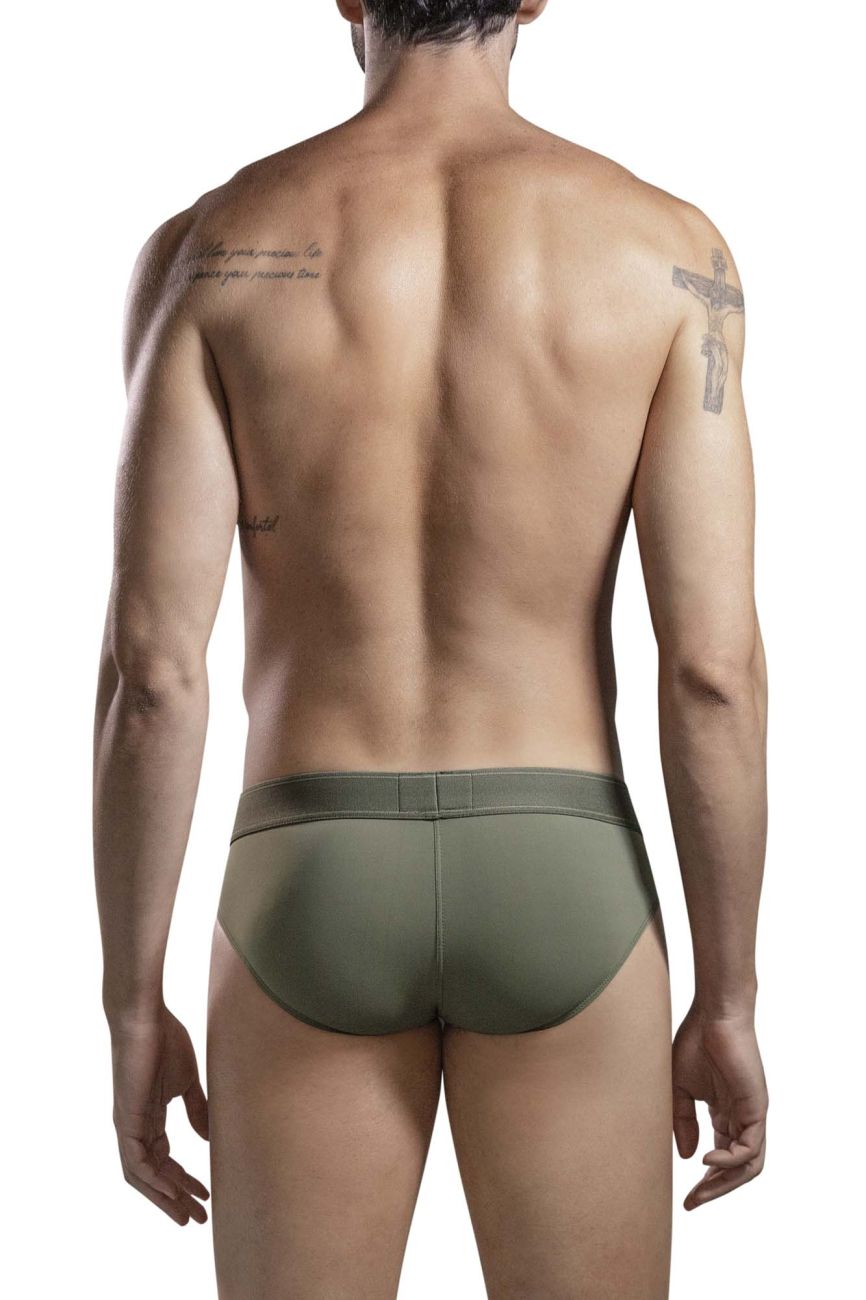 Britanica Briefs