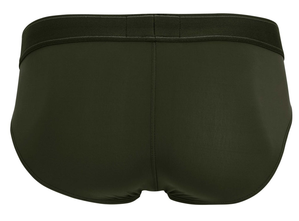 Britanica Briefs