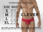 Clever 3-pack of sheer mesh trunk boxer briefs is built for a bold, breathable feel with a see-through micro-mesh body and clean contrast trim.