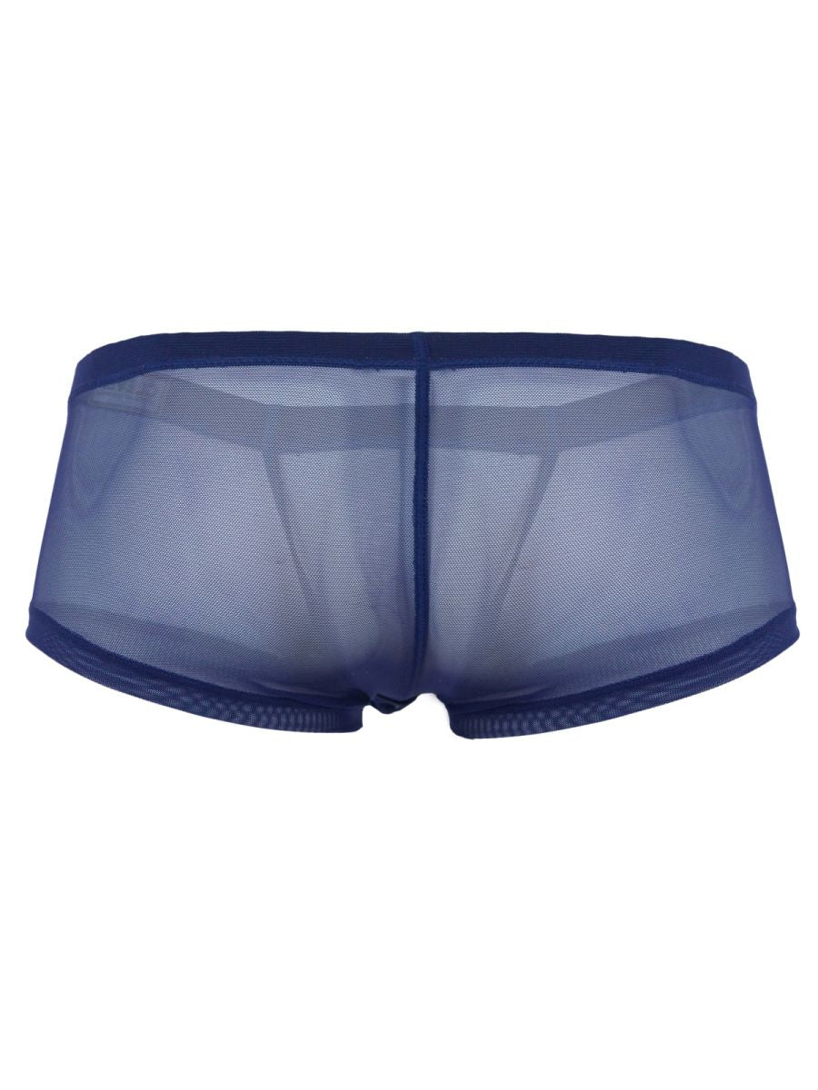 Clever 3-pack of sheer mesh trunk boxer briefs is built for a bold, breathable feel with a see-through micro-mesh body and clean contrast trim.