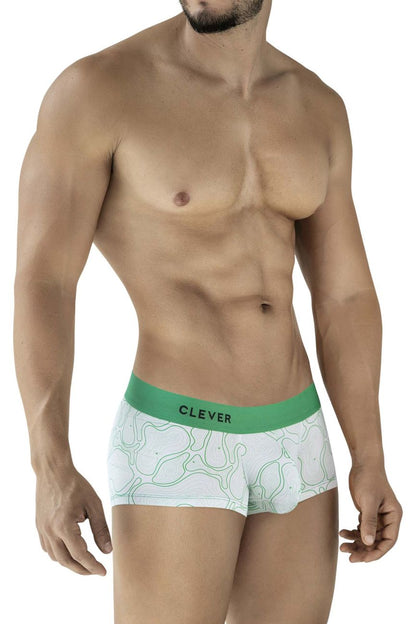 Maze Trunks