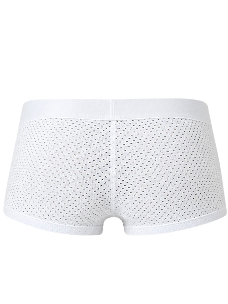 Ulises Trunks