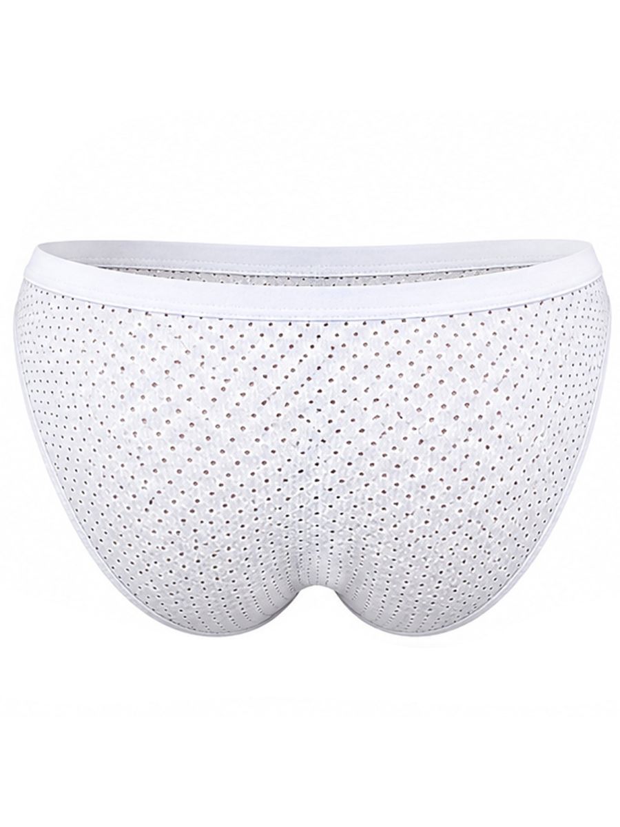 Ulises Briefs