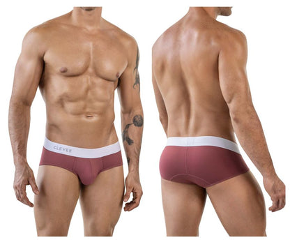 Lecler Briefs