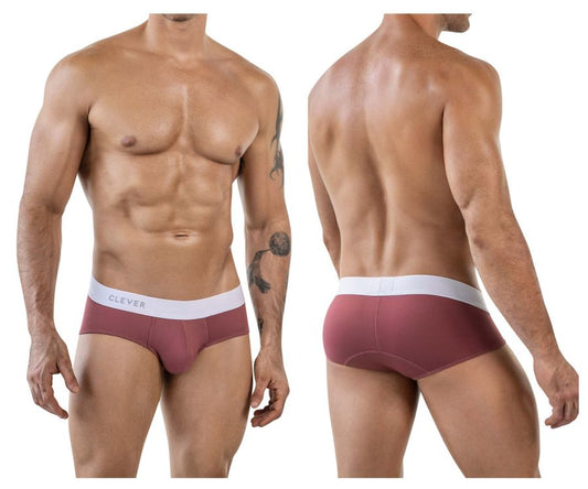 Lecler Briefs