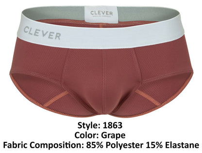 Lecler Briefs