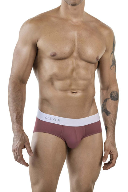 Lecler Briefs